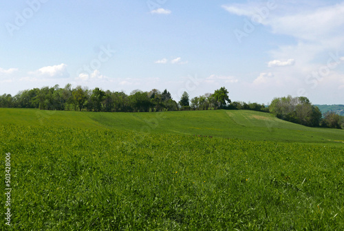idyllic and relaxing view of green meadows in the countryside