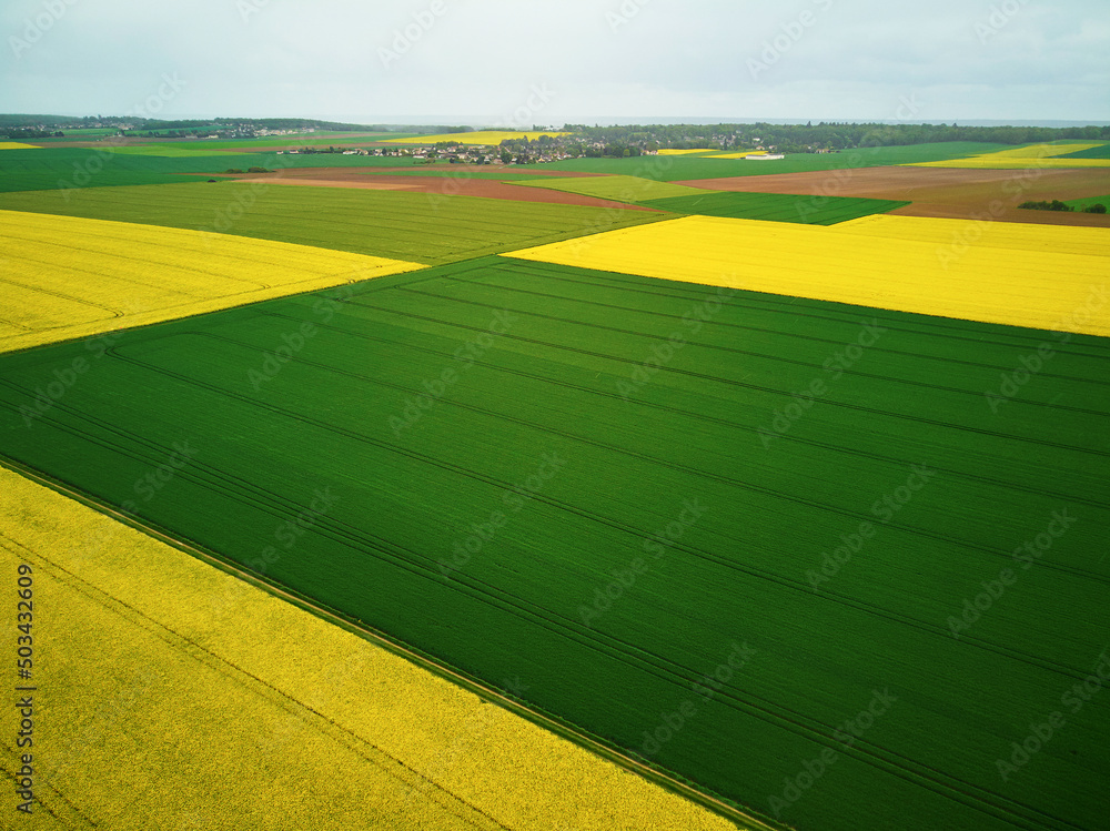 Obraz premium Aerial drone view of yellow rapeseed fields in Ile-de-France, France