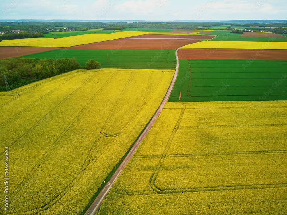 Fototapeta premium Aerial drone view of yellow rapeseed fields in Ile-de-France, France