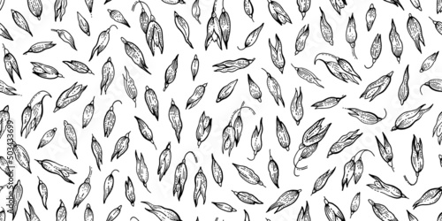 Oat sketch pattern. Oatmeal illustration. Vector muesli flakes. Grain seamless background. Drawing of granola. Cereal isolated. Wheat spelt plant. Oat porridge abstract design. Natural oatmeal pattern