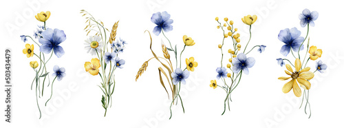 Collection of five bouquets with summer wildflowers and spikelets. Festive illustration with wild flowers for printing or your design. Support and peace for Ukraine. © Aleksa