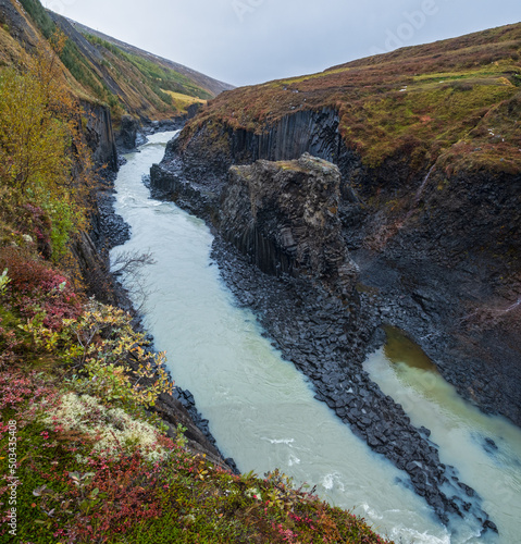 Autumn  picturesque Studlagil canyon is a ravine in Jokuldalur, Eastern Iceland. Famous columnar basalt rock formations and Jokla river runs through it.