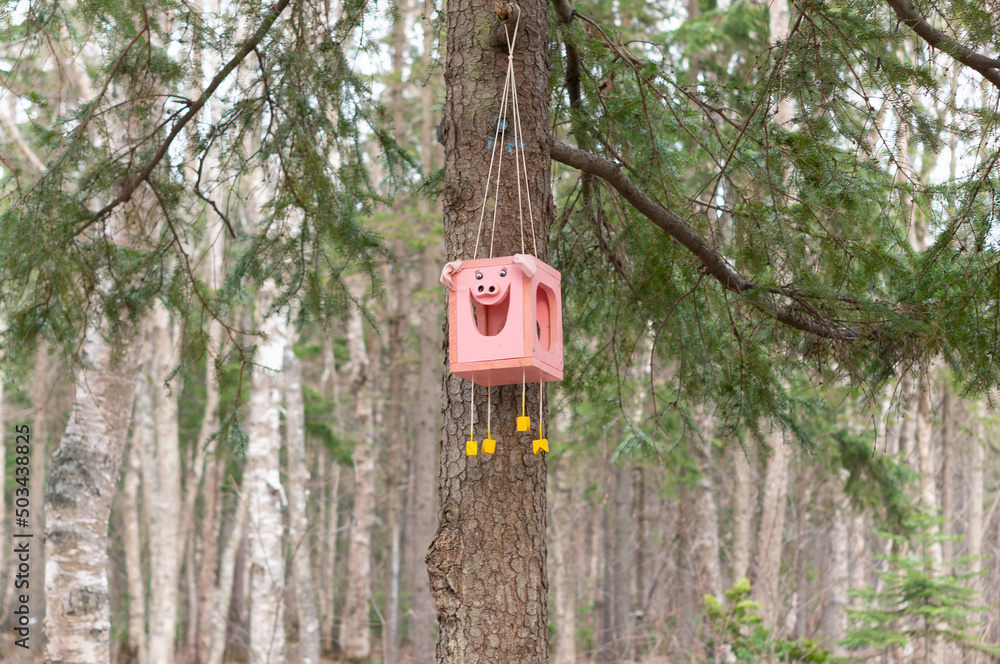 An unusual birdhouse in the form of a piglet hanging on a tree. An unusual birdhouse in the form of a piglet hanging on a tree.