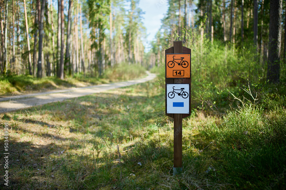 Szlak rowerowy ścieżką leśną. Oznakowanie trasy rowerowej. Mała głębia ostrości, bokeh, f/1,4. Zieleń, błękit, wiosna. - obrazy, fototapety, plakaty 