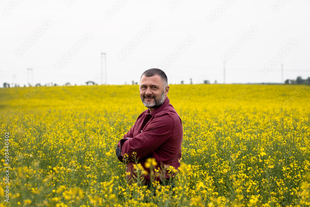 Portrait of smiling middle age farmer standing in rapeseed field examining crop. Portrait of smiling middle age farmer standing in rapeseed field examining crop.