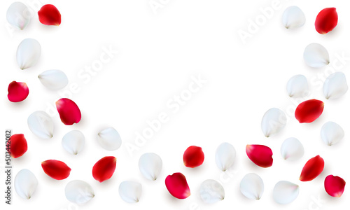Realistic vector elements set of rose petals. Red and white petals of rose flower