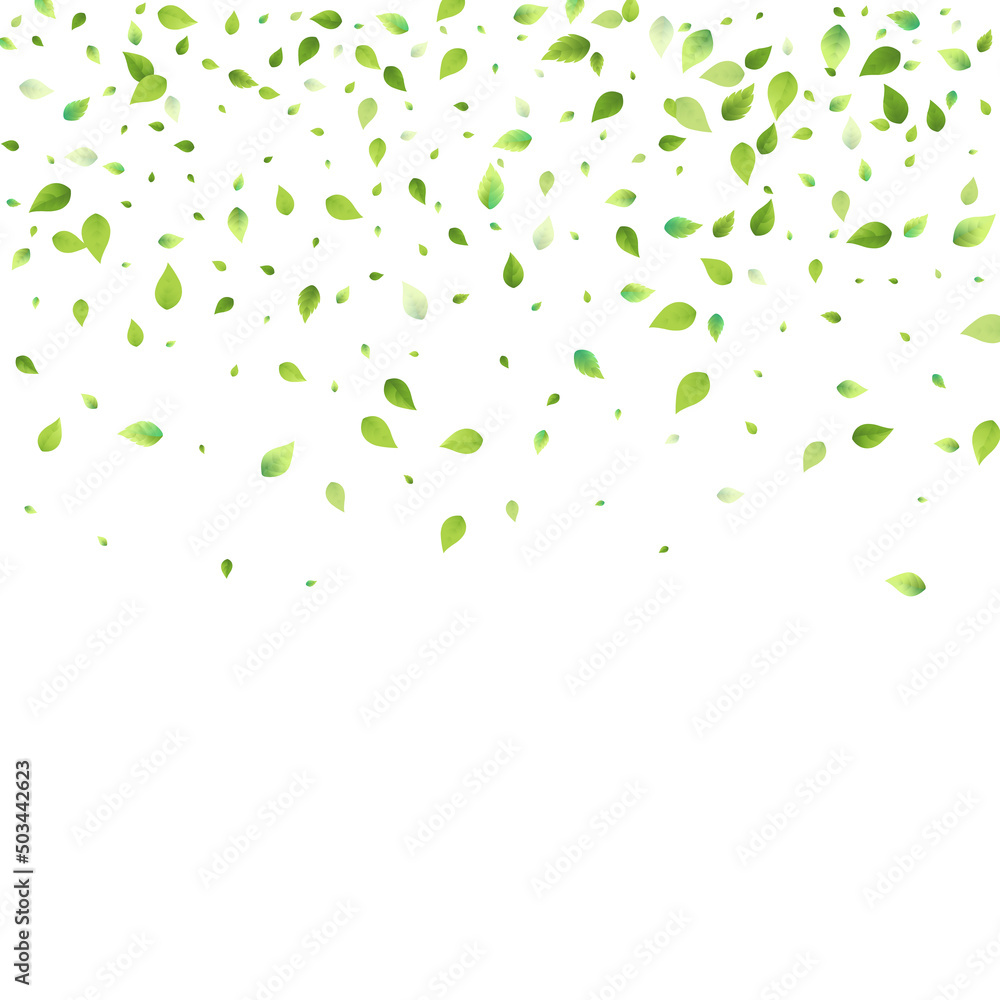 Leaves Green Falling Flying Foliage Leaf Tea Mint