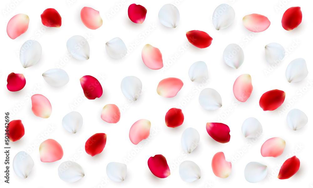 Realistic vector elements set of rose petals. Red, white and pink petals of rose flower Realistic vector elements set of rose petals. Red, white and pink petals of rose flower
