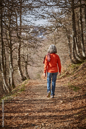 Woman walking in the woods. Healthy lifestyle. Natural environment © h368k742