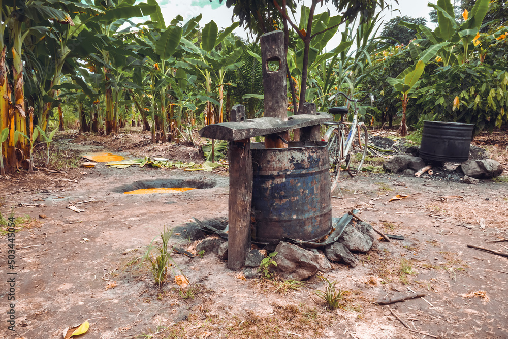 A traditional palm oil extraction plant in Mbeya, rural Tanzania A traditional palm oil extraction plant in Mbeya, rural Tanzania