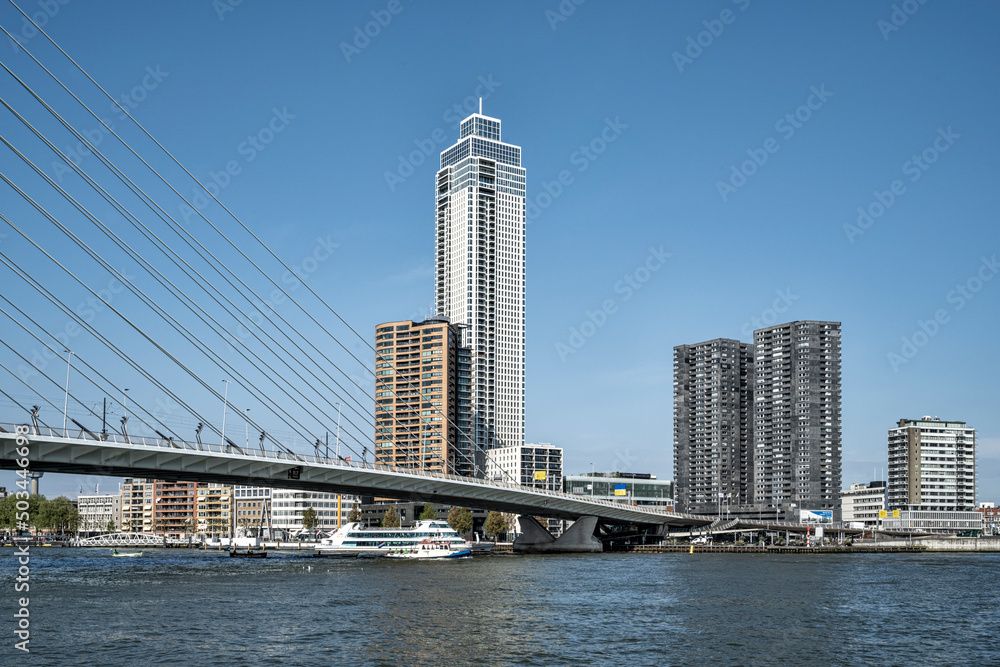 view of the center of Rotterdam from the Nieuwe Maas