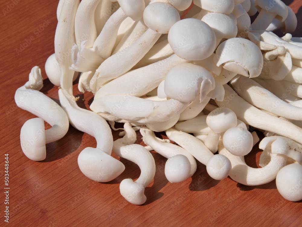 Exotic white beech mushrooms Exotic white beech mushrooms
