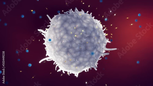 Animation of macrophage releasing cytokines as a part of the body immune response to viral infection. A cytokine storm is the overproduction of cytokines which can lead to organ failure or even death photo