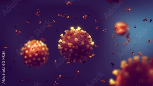 Animation of immune system's antibodies (immunoglobulin) attacking and neutralizing coronavirus. The coronavirus (SARS-COV-2) is a highly infectious virus that causes severe acute respiratory syndrome photo