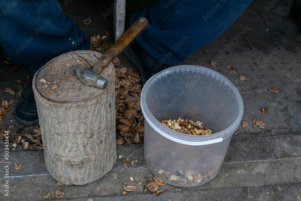 Fototapeta premium Nuts. Walnut kernels and whole walnuts. Walnuts organic. Top view. Walnut healthy food. break walnuts with hammer on wood. photo series