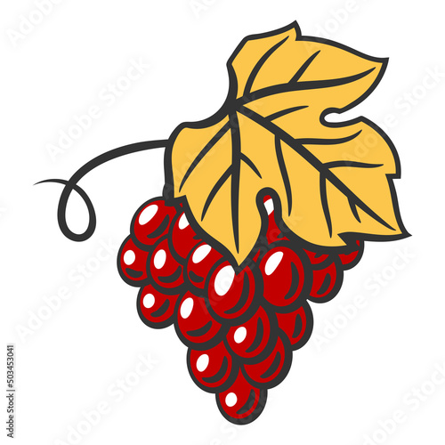 Illustration of bunch of red grapes. Winery image for restaurants and bars.