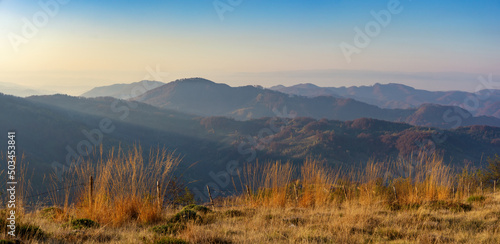 Early morning in the Carpathian mountains in autumn. Dry stalks of grass against the background of blue mountain ranges and light clouds. Oblique sun rays illuminate the mountain landscape