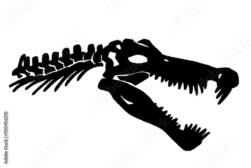 Graphical silhouette  of spinosaurus skull isolated on white background,paleontology,vector illustration