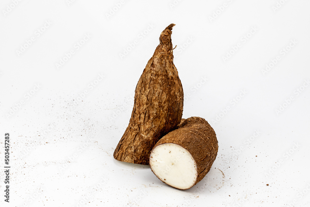 Tapioca / Kappa - roots of the cassava plant, cut and whole isolated in  extendable white background shot using studio lights, Isolated, Nobody,  Macro, Nutritious, Healthy Food, Roots, tropical food. Stock Photo