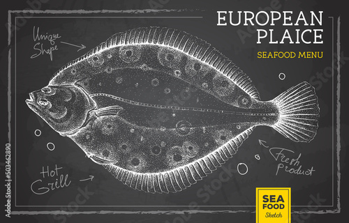 Realistic chalk drawing flounder fish vector illustration. Seafood menu design