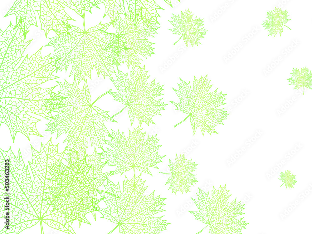 custom made wallpaper toronto digitalBeautiful background of leaves vector illustration.