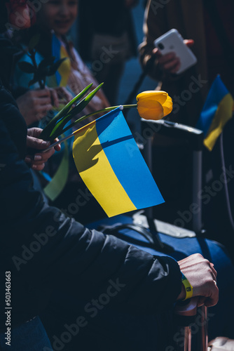 Ukrainian flag and flower in the hand of a refugee woman. Peaceful demonstration of Ukrainian refugees against the war in Ukraine.