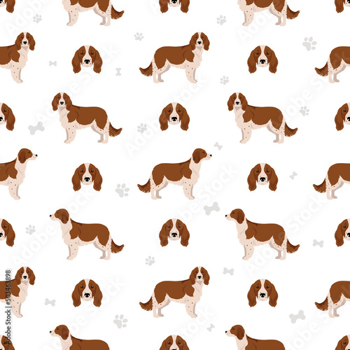 Welsh Springer spaniel seamless pattern. Different poses  coat colors set