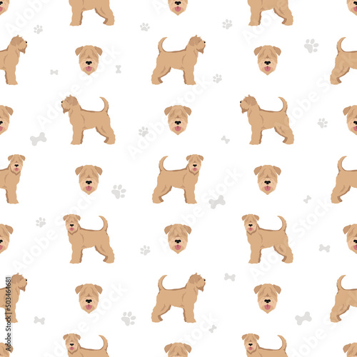 Soft coated Wheaten Terrier seamless pattern. Different poses  coat colors set.
