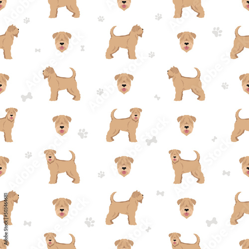 Soft coated Wheaten Terrier seamless pattern. Different poses, coat colors set.