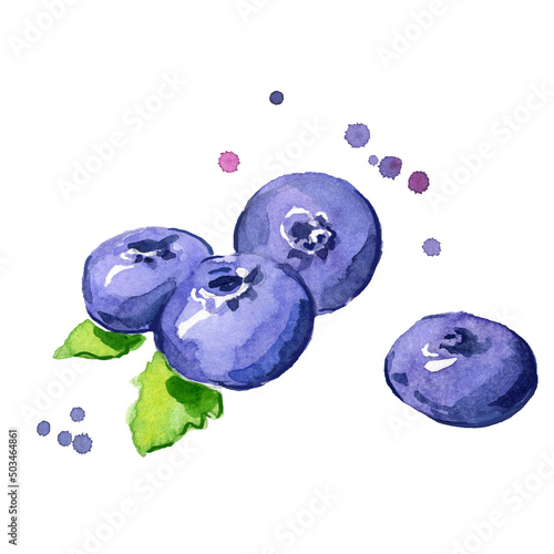 Fresh blueberry watercolor painting hand painted