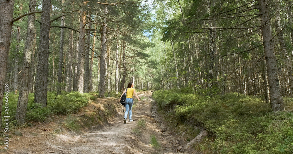 Fototapeta premium Young woman climbing up a forest path with a backpack. Walk in the fresh air among wild coniferous trees