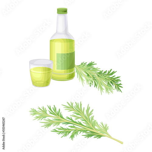 Wormwood plant and tincture in bottle set. Artemisia mongolica, flowering herbaceous medicinal plant vector illustration