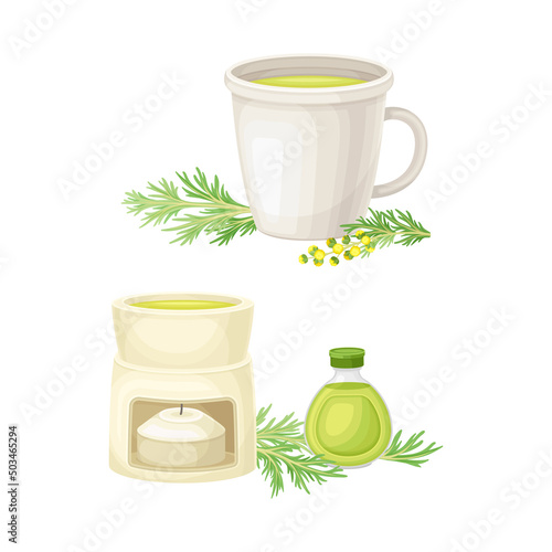 Herbal tea and wormwood tincture set. Artemisia mongolica, flowering herbaceous medicinal plant vector illustration
