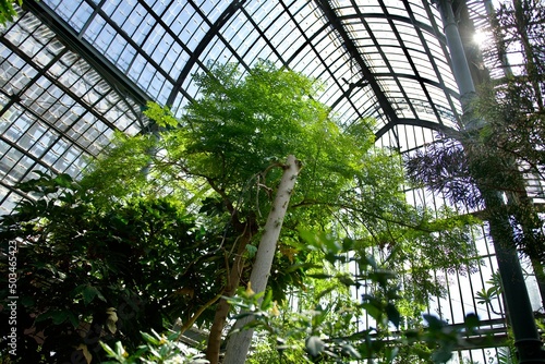 Interior of the magnificent botanical greenhouse of the park de la tête d'or © nic
