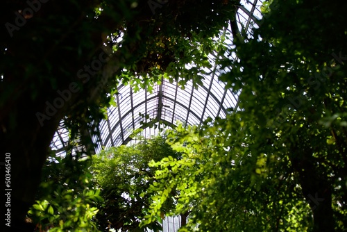 Interior of the magnificent botanical greenhouse of the park de la tête d'or