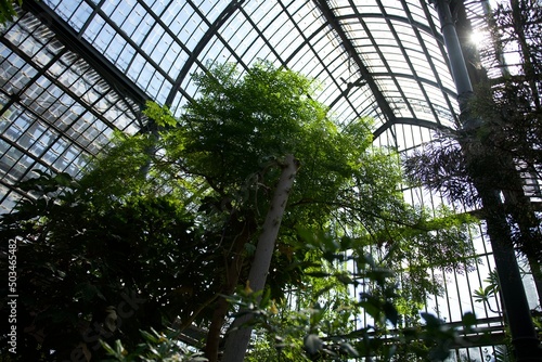 Interior of the magnificent botanical greenhouse of the park de la tête d'or