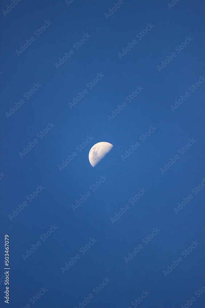 The moon The moon