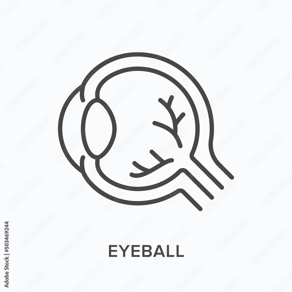 Eyeball flat line icon. Vector outline illustration of human internal organ. Black thin linear pictogram for ophthalmology Eyeball flat line icon. Vector outline illustration of human internal organ. Black thin linear pictogram for ophthalmology