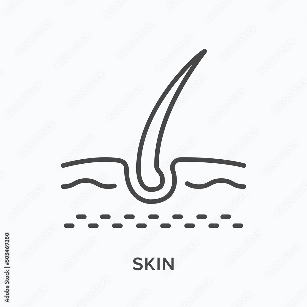 Skin flat line icon. Vector outline illustration of human organ. Black thin linear pictogram for dermatology Skin flat line icon. Vector outline illustration of human organ. Black thin linear pictogram for dermatology