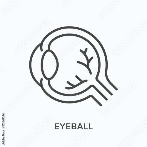 Eyeball flat line icon. Vector outline illustration of human internal organ. Black thin linear pictogram for ophthalmology © Sir.Vector
