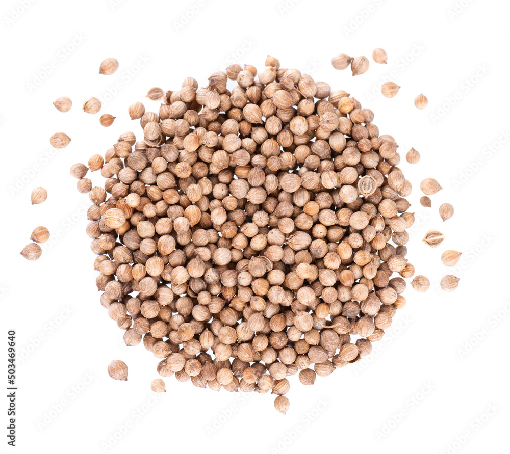 Coriander seeds isolated on white background. Cilantro grain. Organic spice. Top view. Coriander seeds isolated on white background. Cilantro grain. Organic spice. Top view.