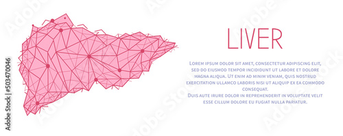Polygonal human liver made of red lines and dots. Medical research of internal organs, innovative approach concept. Organ of human digestive system. Modern depiction of external secretion gland, liver