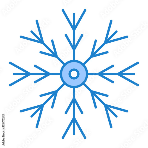 Snow Flake Icon Design