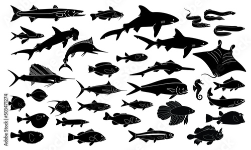 Fish Silhouettes. Marine Animals Set. Fish Icon. Shark  Slope. Marine life in Black and White.