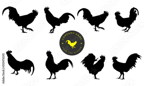 Silhouettes of Rooster chicken. vector Illustration