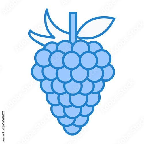 Grapes Icon Design