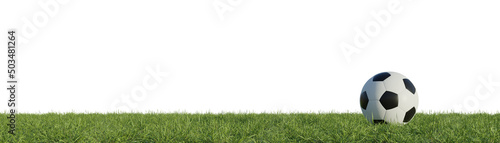 Soccer ball on grass panorama  3d rendering