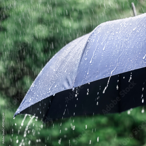 Rain on umbrella background, weather forecast and environment concept