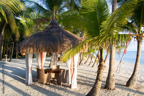 Fototapeta Naklejka Na Ścianę i Meble -  Traditional Polynesian/ Asian hut with a table and chairs on beach amongst palm trees - Siquijor, Philippines