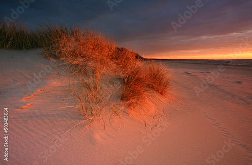 Obraz na płótnie Dunes on the coast of the Baltic Sea in the beautiful light of the setting sun w salonie